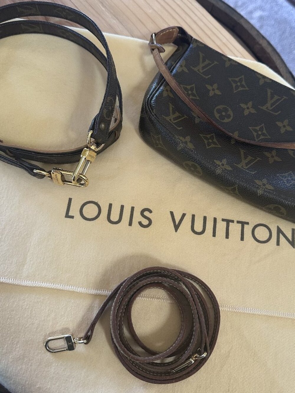 Authentic Louis Vuitton Pochette Accessories Monogram Canvas Bag